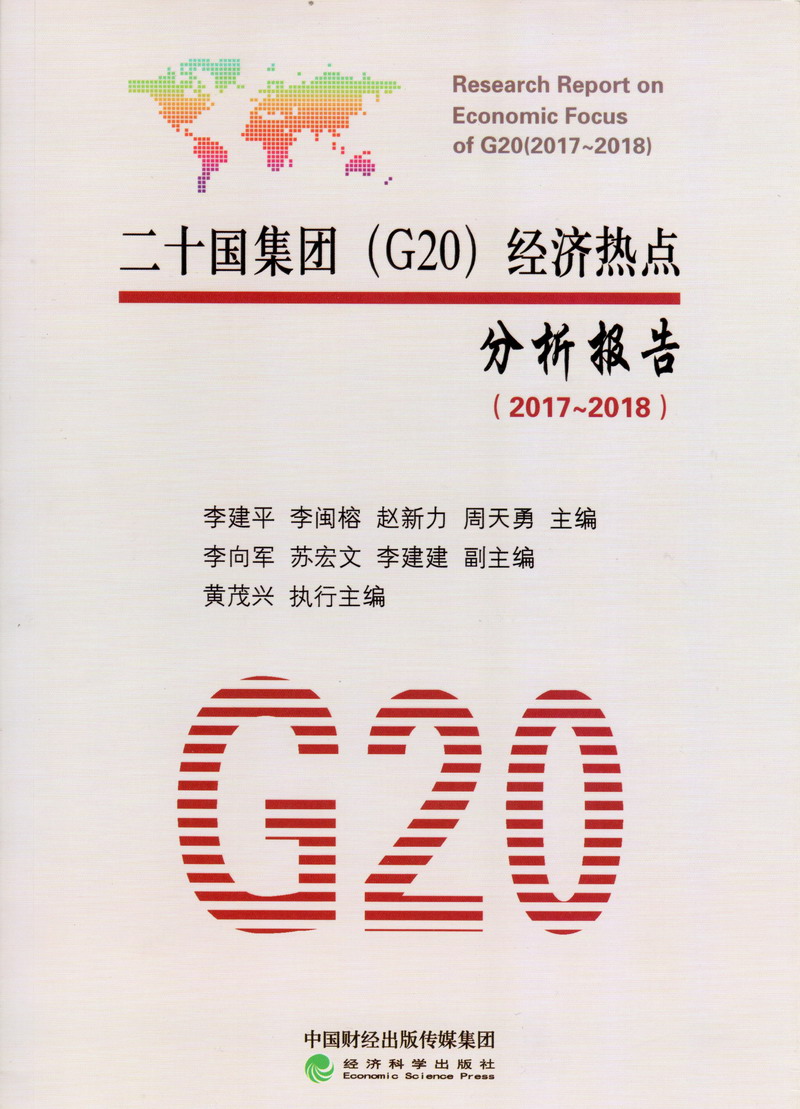 啊啊啊啊啊流水扣逼小说二十国集团（G20）经济热点分析报告（2017-2018）