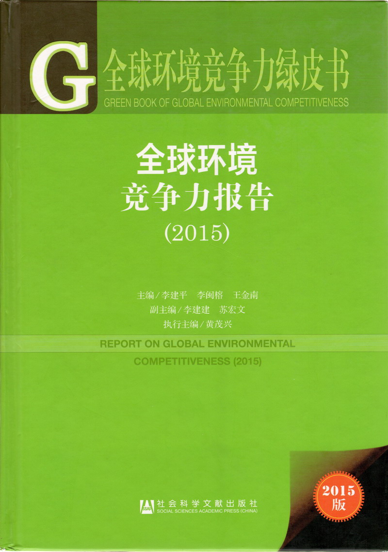 边吃我奶边插我啊啊啊啊受不鸟在线免费观看全球环境竞争力报告（2017）